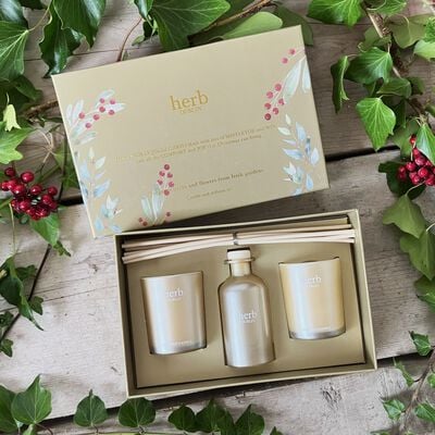 Herb Dublin Holly Jolly Diffuser and 2 Votive Set